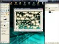 Tutorial Gimp Como hacer Firmas
