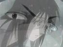 Haku Don\
