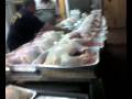 videos de Turkey.3g2