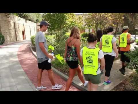 Los Angeles Ecotourism - Bikes and Hikes LA