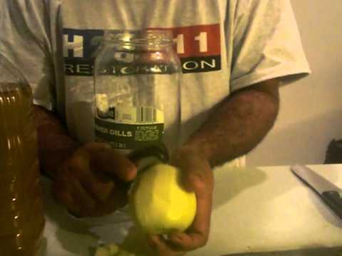 how to collect vinegar eels