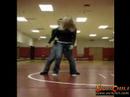 beltflaps