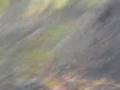 videos de Agria 1700 im wald