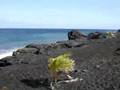 BLACK SAND BEACHES, KEHENA, PAHOA (Robb & Bry, Hawaii #2/5)