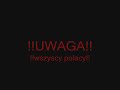 Terrorysci porwali polskiego archeologa