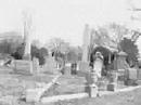 Hollywood Cemetary