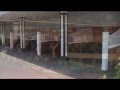 http://theladywiththealligatorpurse.com visits churchill downs