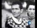 Seveso 10 luglio 1976 - disastro all'ICMESA