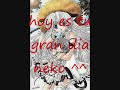 anime-manga-play-cumpleaños-yareli.wmv