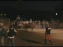 Mast-Rautio Hooty Calf 2 (pumpkin pie) Mast-Rautio Hooty Calf 2 (pumpkin pie)