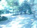videos de Caminando en el Jardín Botánico