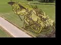 Time-lapse video of rice paddy art