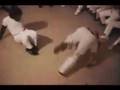 Ver Video