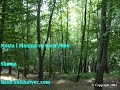 Planina vo Gora
