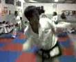 pyong ahn / in nae ( combate 10 ) c.a.s.v.a 2207