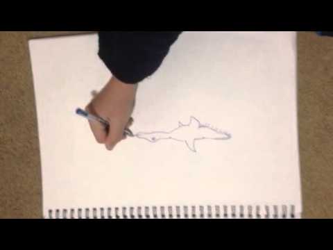 how to draw mythical creatures