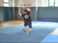 Wushu Summer Trickz 2009 by Julian Gangl