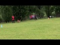 videos de Chicos du Calvaire aux Acacias 2 ème partie