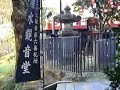 Crow in Tokyo