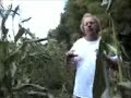 Farmer Jeff: Raccoons love sweet corn -- Bt or not