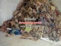 Rwanda Genocide - 1994
