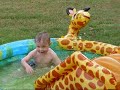 Ethan % Aaron Swimming Ethan % Aaron Swimming