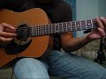 Joe Satriani - Tears in the Rain Cover(Seagull S6)