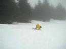 quick-silver-park-grouse.html