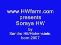 www.HWfarm.com prestens Soraya HW