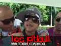MIGUELITO,DON OMAR,YANKEE, MARCO A.SOLIS,WISIN Y YANDEL