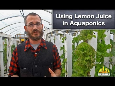 how to lower ph in water with lemon juice