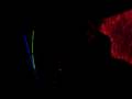 videos de Rabbit in the Moon - Dancer and Grinder