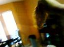 ova dumbtail daryus house
