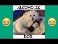 Quincy and Patrick Barnes Vine Compilation - BEST Patrick and Quincy Vines and Instagram Videos 2017