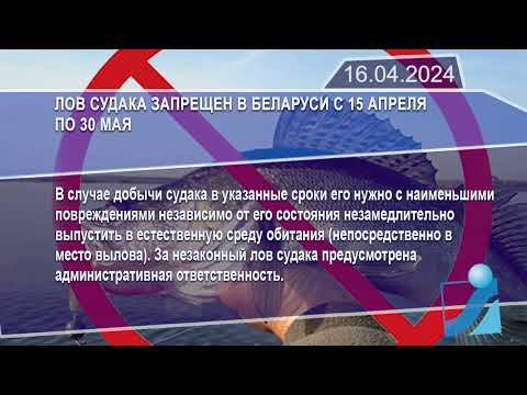 Новостная лента Телеканала Интекс 16.04.24.