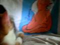 videos de love living fur!