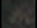 videos de Infra Red laser diode