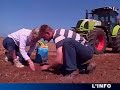 La fureur du Colza en Sarthe