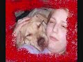 An anti-BSL video...starring Chopper the red nose APBT and Zena the brindle staffordshire terrier/labx :)