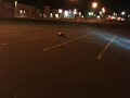 Click here to watch this video rc Traxxas E revo back flips.