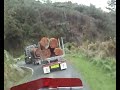 carting logs carting logs