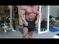Pavol Jabloniky - Czech profi bodybuilder - Posing