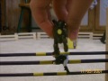 Click here to watch this video Breyer Show Jumping REEMIIXX