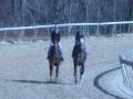 videos de It's Meant To Be and Bishop's Girl 11/26
