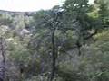 Chiricahua Hike with Steve and Lena