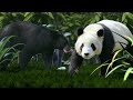 + de 20 000 espèces animales/végétales sont menacées d'extinction & 65 000 sous surveillance http://t.co/DtQKr6oQTZ v/ @afpfr