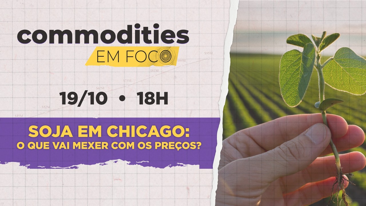 Soja cai pela 6ª sessão seguida em Chicago; até onde vão os preços? | Commodities em Foco
