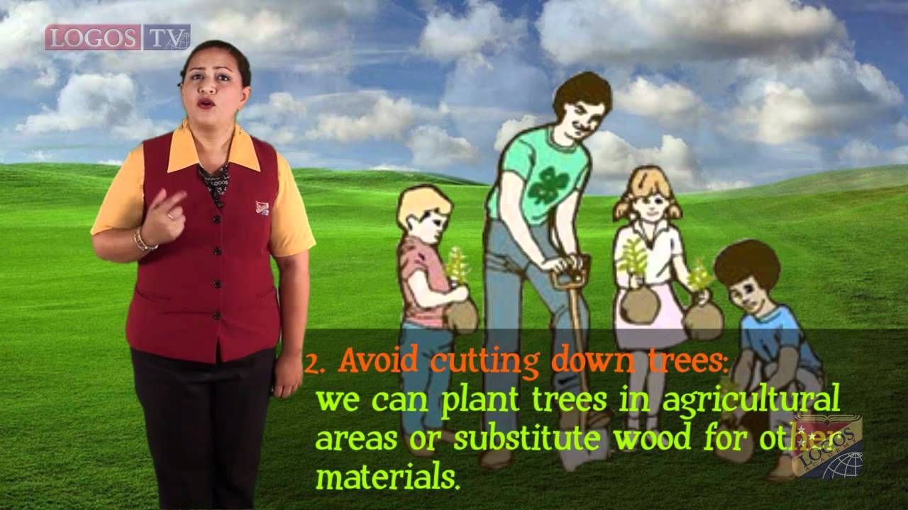 The environment problems and solutions   Logos Academy
