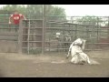 Lot #2577 - Coming 2yr Old Bull - Video 1 of 2 Lot #2577 - Coming 2yr Old Bull - Video 1 of 2
