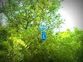 ARTE CON BOTELLAS DE PLASTICO